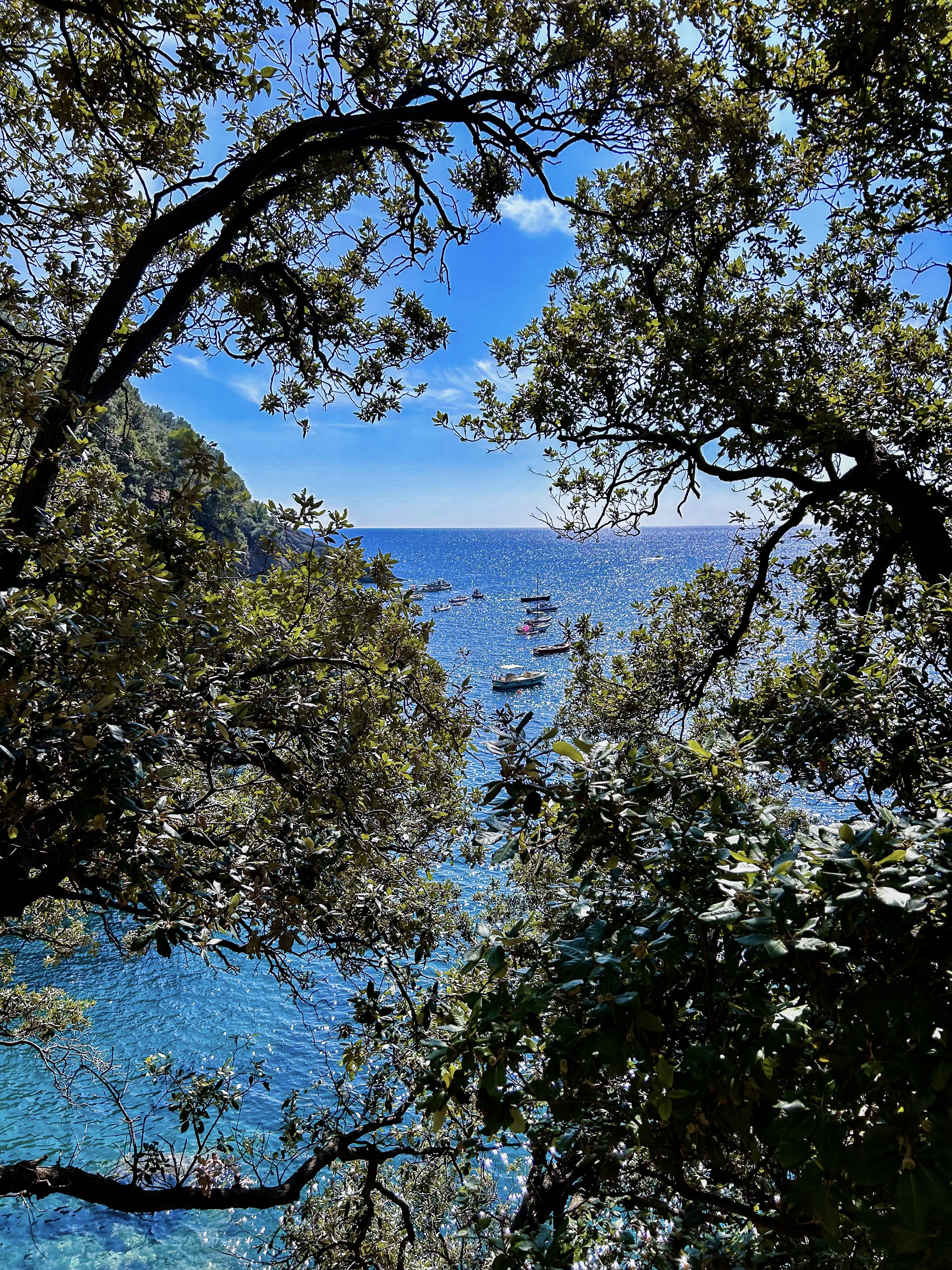 Côte d'Azur